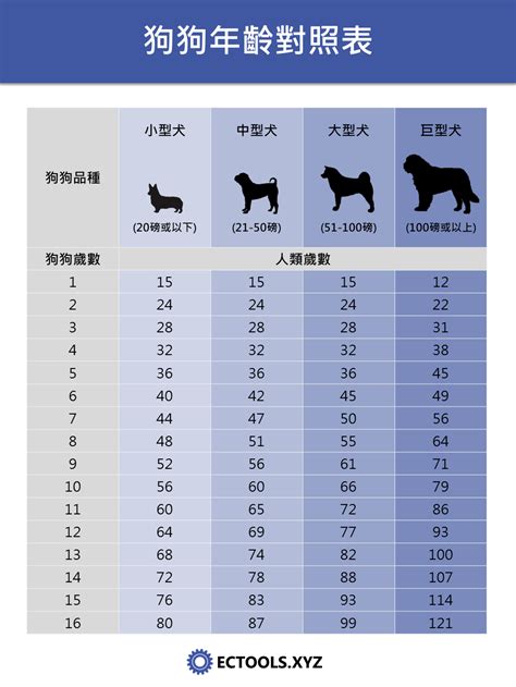 狗 15歲|狗狗年齡對照表：了解您的寵物處於哪個階段